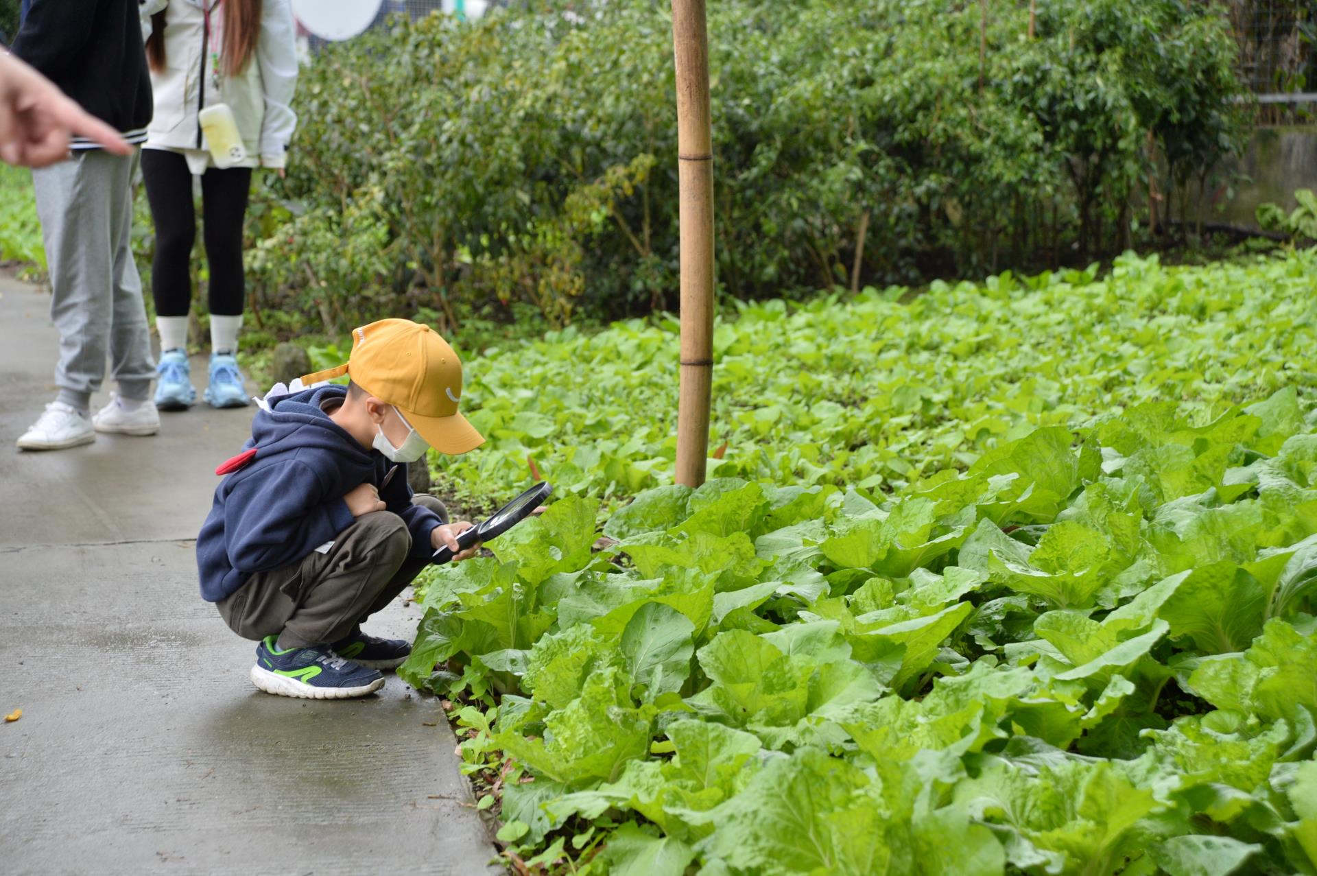 ����18(�й���)�ٷ���վ