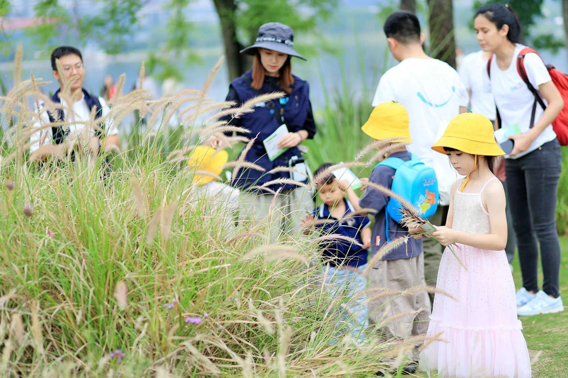 ����18(�й���)�ٷ���վ