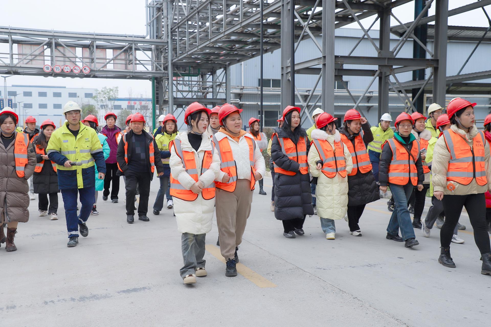 新利18(中国区)官方网站