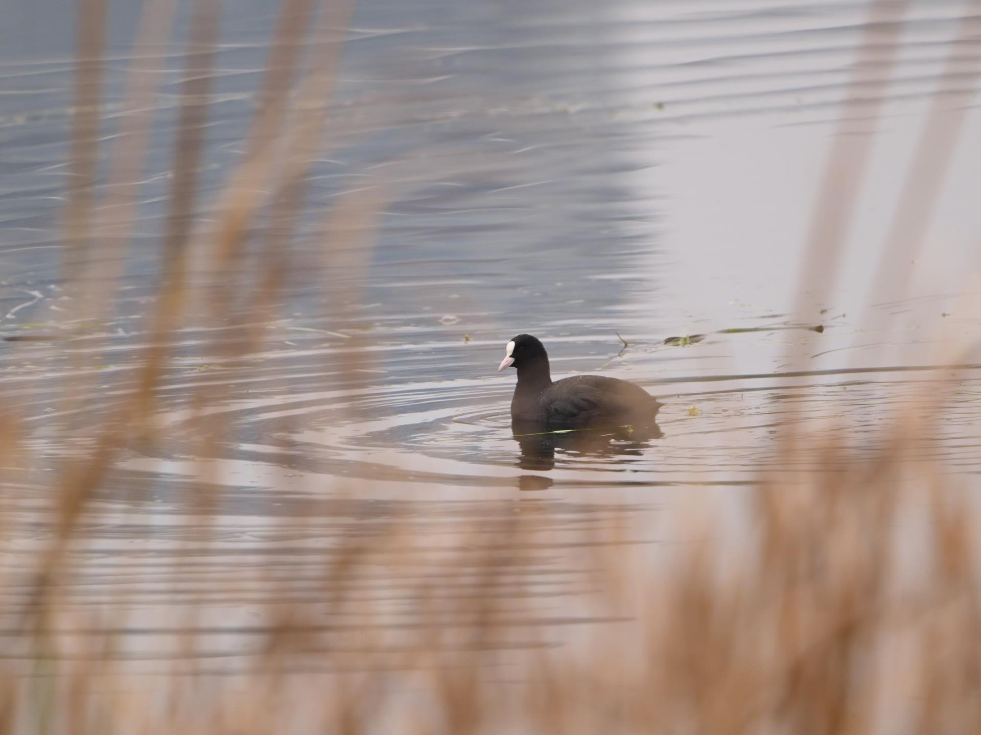 ����18(�й���)�ٷ���վ