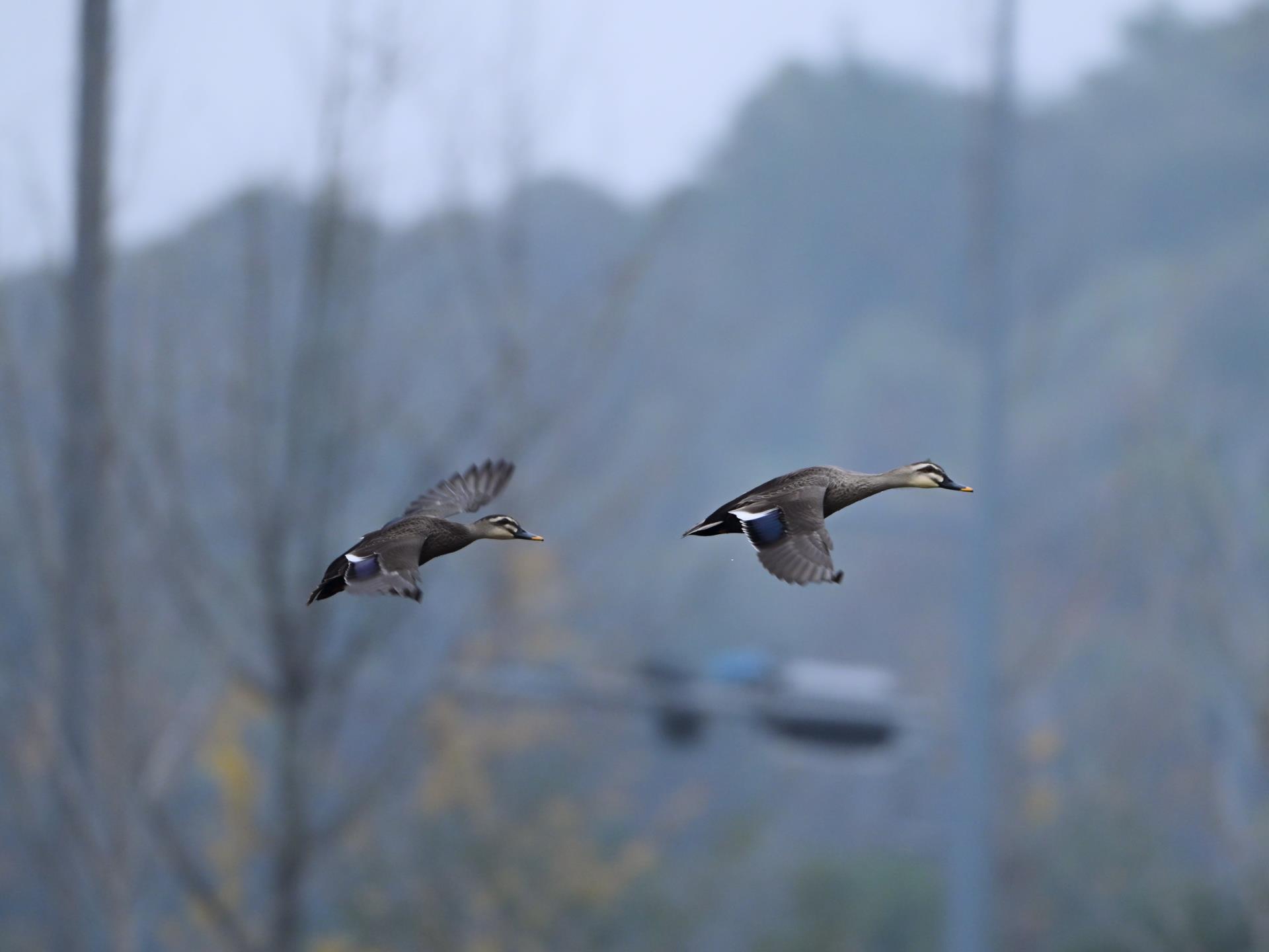 ����18(�й���)�ٷ���վ