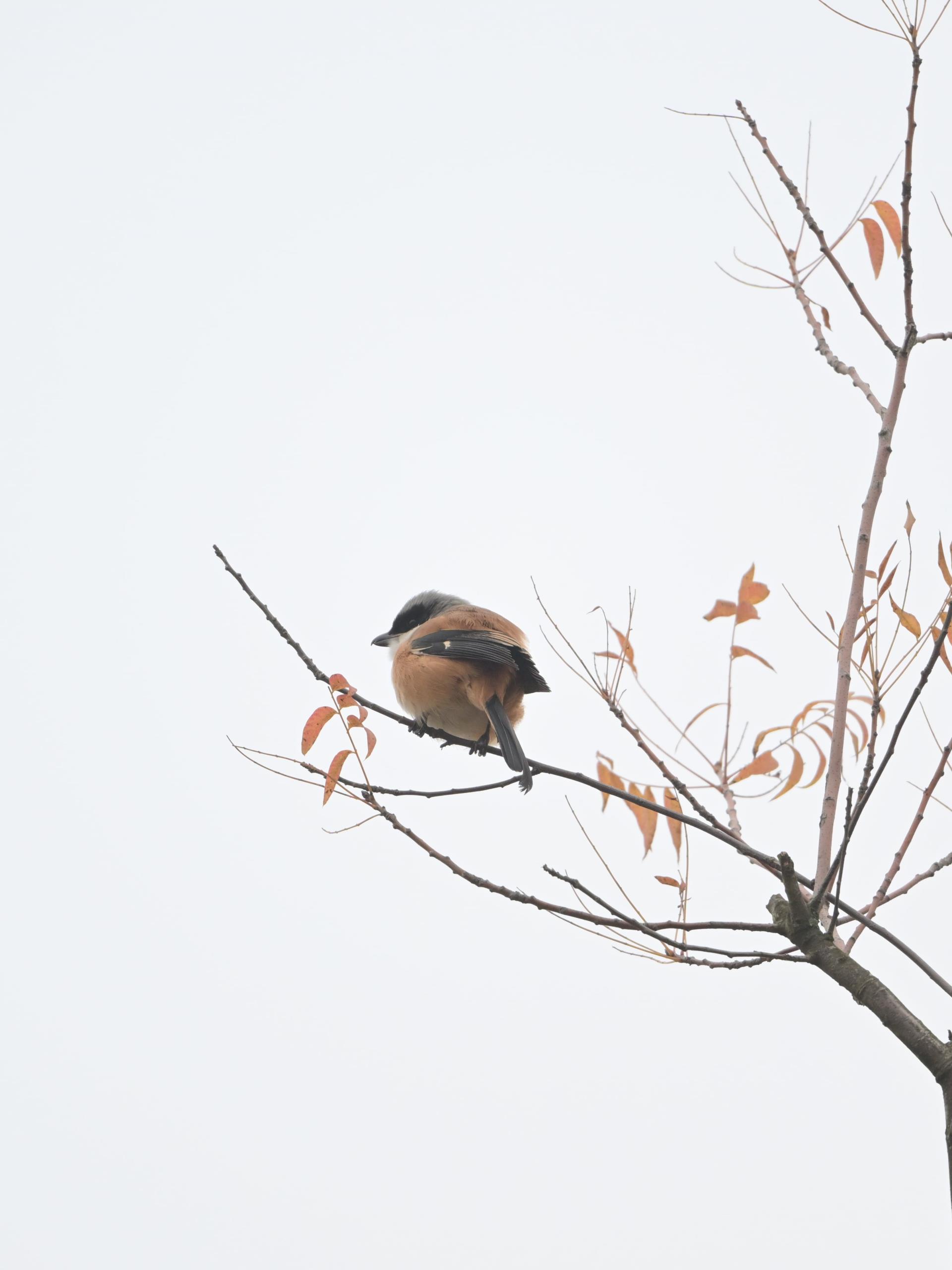 ÐÂÀû18(ÖйúÇø)¹Ù·½ÍøÕ¾